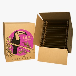1001 cartons Carton range assiettes